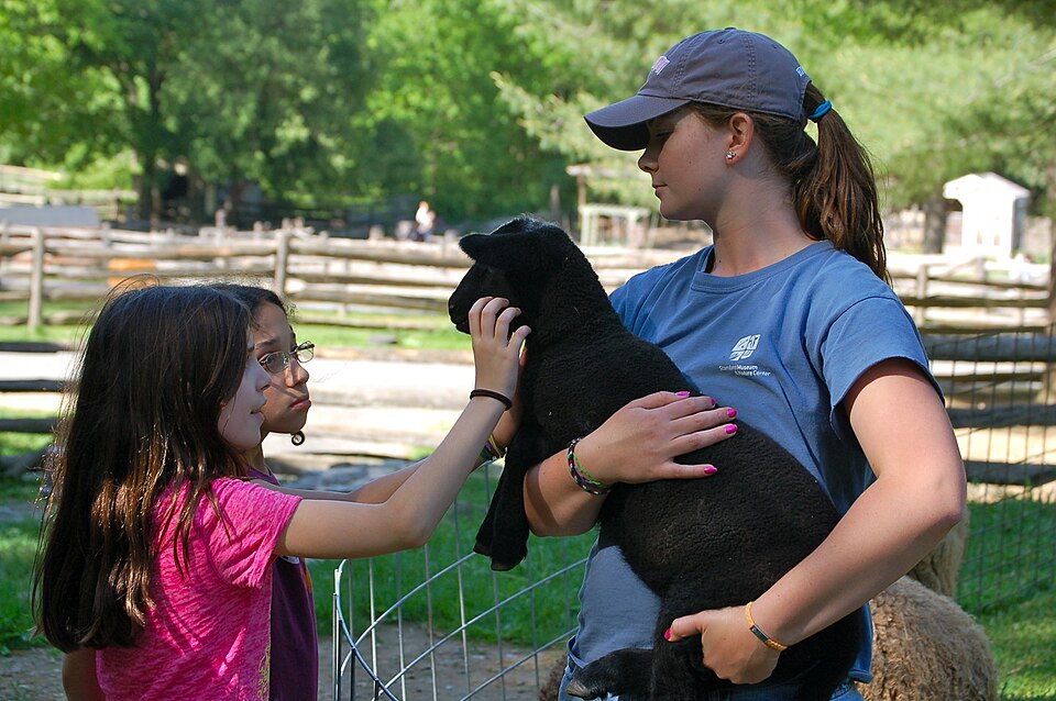 Kinderboerderij ’t Dierenduintje