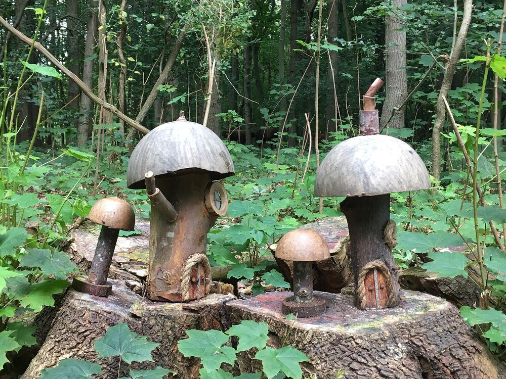 Houten kabouterhuisjes met paddenstoelendaken op een boomstronk in het bos bij Castricum