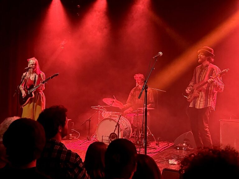 Muziektuinenfestival Castricum — muziek in Castricum
