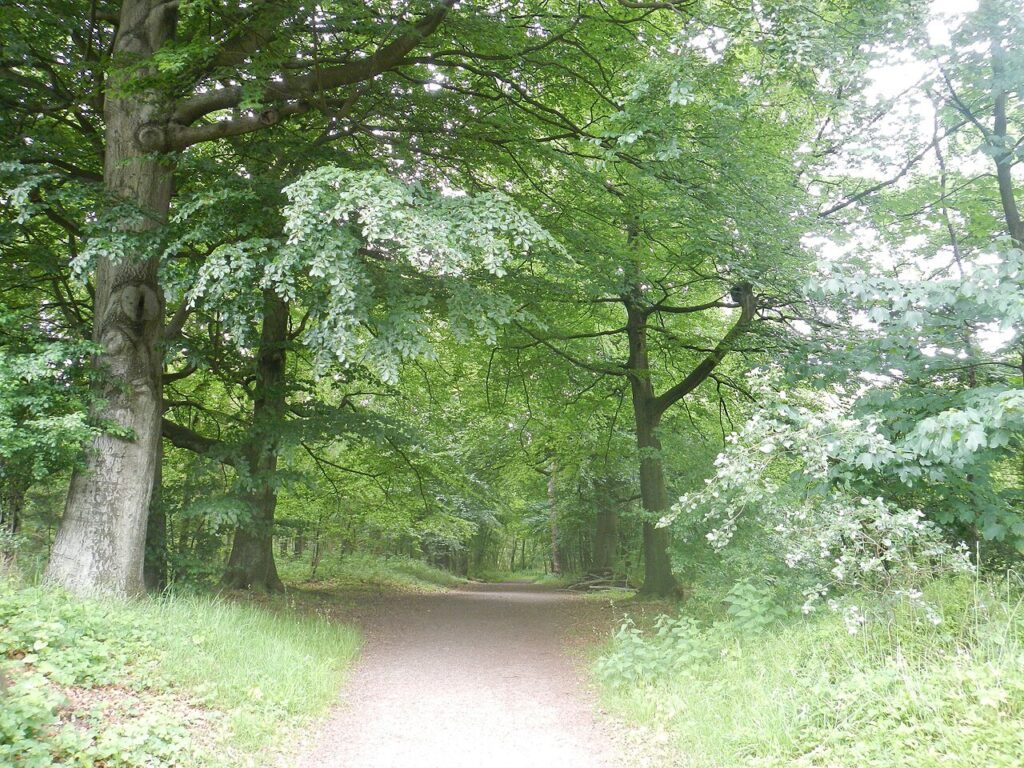Hoek tot Helder in Castricum