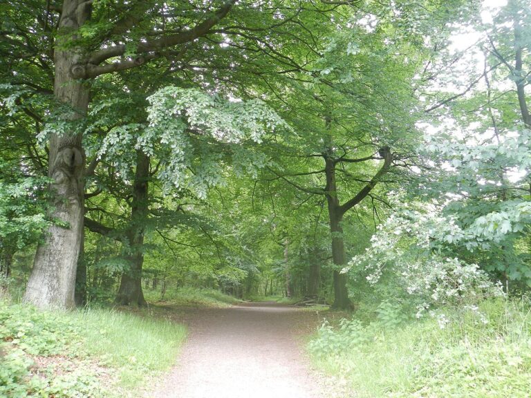 Hoek tot Helder — natuur in Castricum